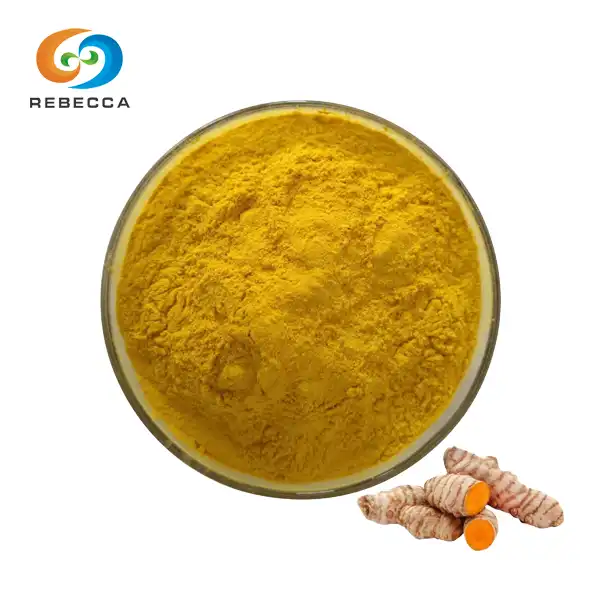 Best Curcumin Powder